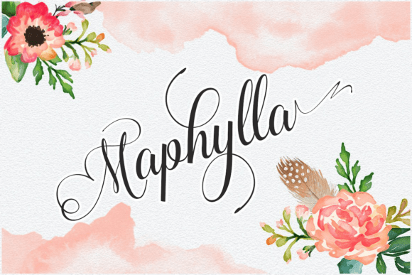 Maphylla: The Art of Elegant, Modern Calligraphy